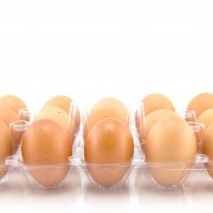 FRESH EGGS BY 15