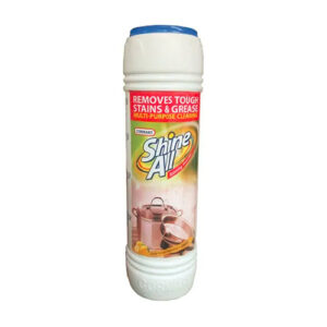 RENEW SHINE ALL SCOURING POWDER 600G