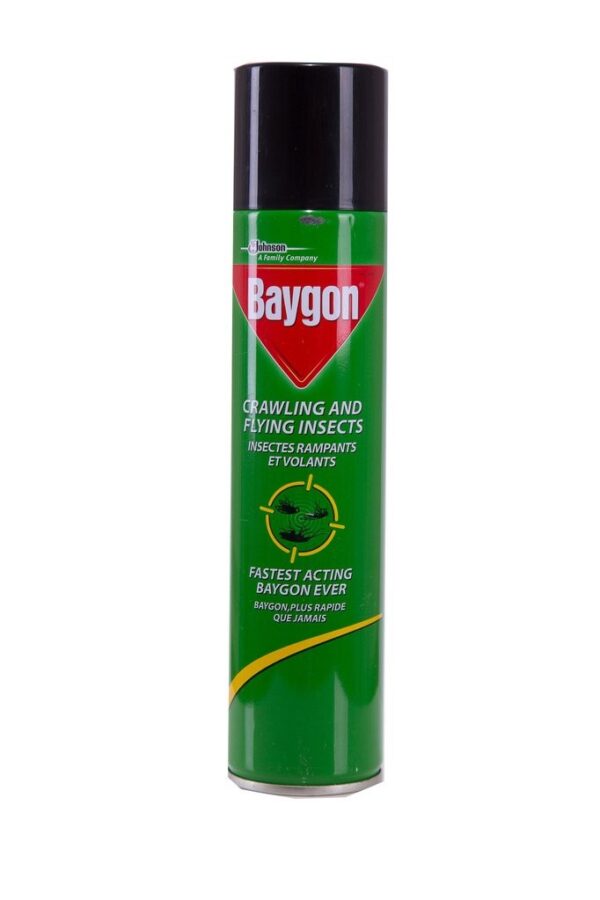 BAYGON INSECTICIDE 300ML